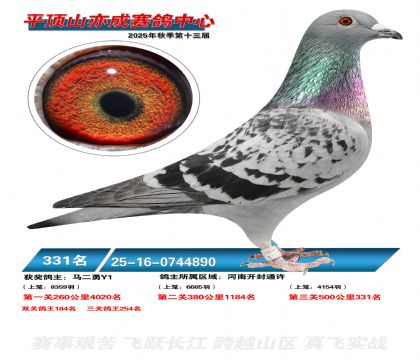 ƽ��ɽ��ɾ���331��