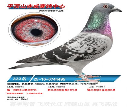 ƽ��ɽ��ɾ���333��