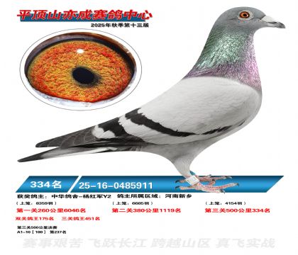 ƽ��ɽ��ɾ���334��