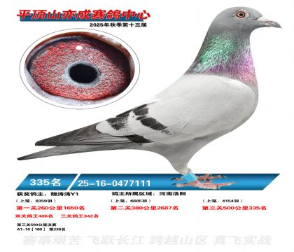 ƽ��ɽ��ɾ���335��