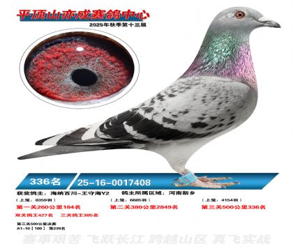 ƽ��ɽ��ɾ���336��