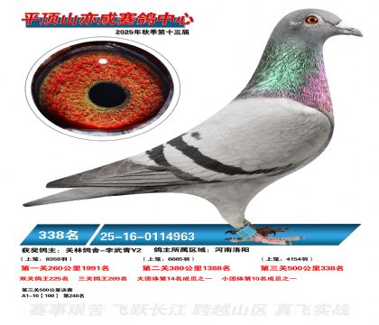 ƽ��ɽ��ɾ���338��