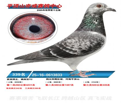 ƽ��ɽ��ɾ���339��