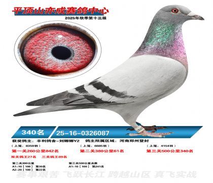 ƽ��ɽ��ɾ���340��