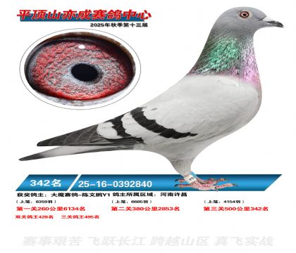 ƽ��ɽ��ɾ���342��