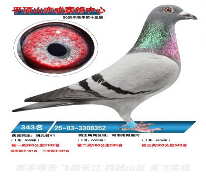 ƽ��ɽ��ɾ���343��