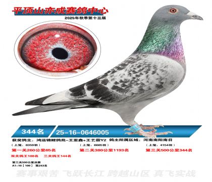 ƽ��ɽ��ɾ���344��