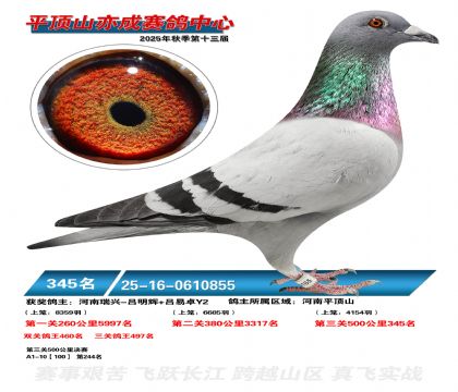 ƽ��ɽ��ɾ���345��