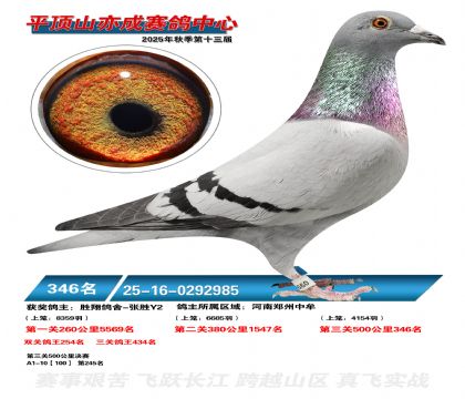 ƽ��ɽ��ɾ���346��