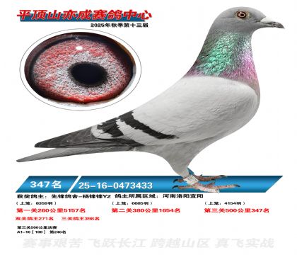 ƽ��ɽ��ɾ���347��