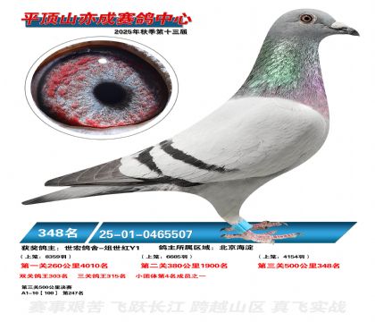 ƽ��ɽ��ɾ���348��