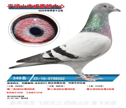 ƽ��ɽ��ɾ���349��