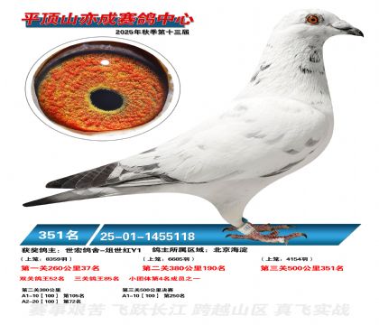 ƽ��ɽ��ɾ���351��