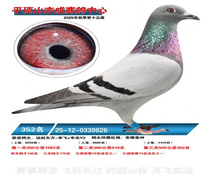 ƽ��ɽ��ɾ���352��