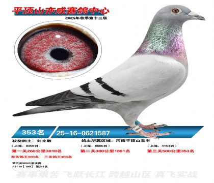 ƽ��ɽ��ɾ���353��