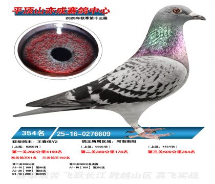 ƽ��ɽ��ɾ���354��