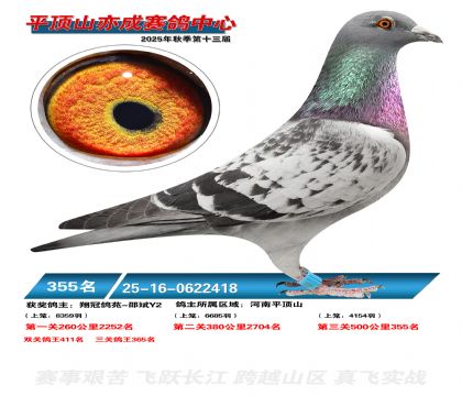 ƽ��ɽ��ɾ���355��