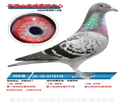 ƽ��ɽ��ɾ���356��