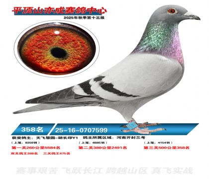 ƽ��ɽ��ɾ���358��