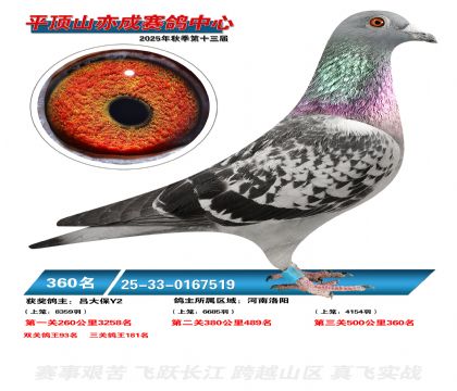 ƽ��ɽ��ɾ���360��