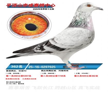 ƽ��ɽ��ɾ���362��