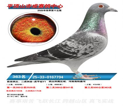 ƽ��ɽ��ɾ���363��