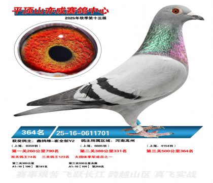 ƽ��ɽ��ɾ���364��