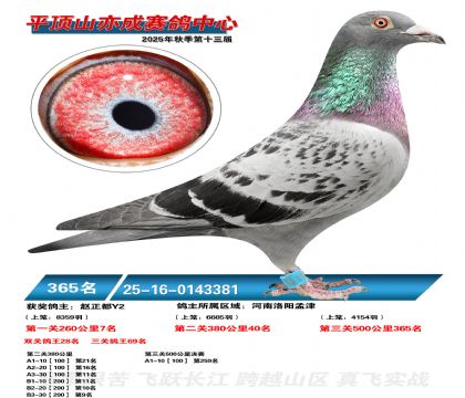 ƽ��ɽ��ɾ���365��