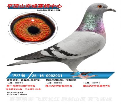 ƽ��ɽ��ɾ���367��