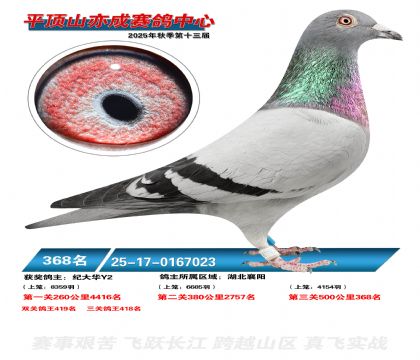 ƽ��ɽ��ɾ���368��