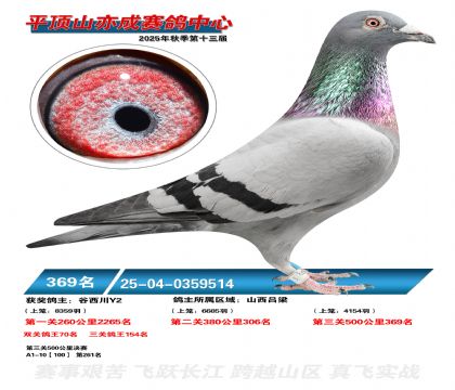 ƽ��ɽ��ɾ���369��