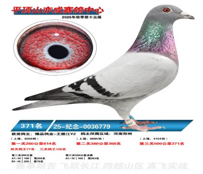 ƽ��ɽ��ɾ���371��