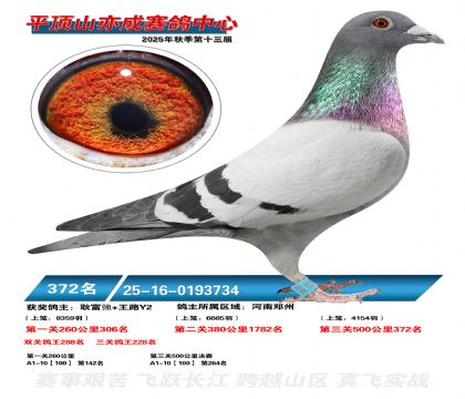 ƽ��ɽ��ɾ���372��