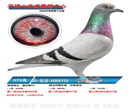 ƽ��ɽ��ɾ���373��