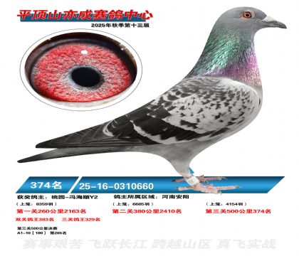 ƽ��ɽ��ɾ���374��