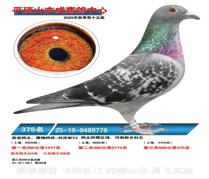 ƽ��ɽ��ɾ���375��