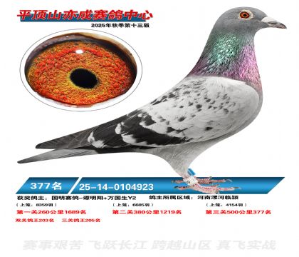 ƽ��ɽ��ɾ���377��