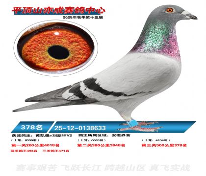 ƽ��ɽ��ɾ���378��