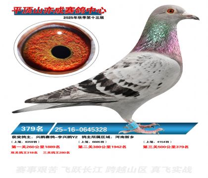 ƽ��ɽ��ɾ���379��