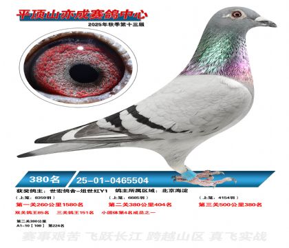 ƽ��ɽ��ɾ���380��