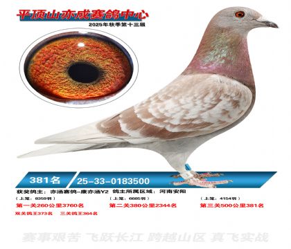 ƽ��ɽ��ɾ���381��