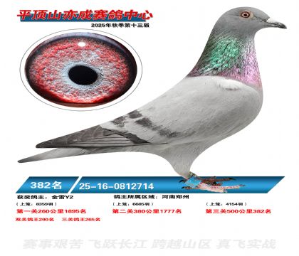 ƽ��ɽ��ɾ���382��