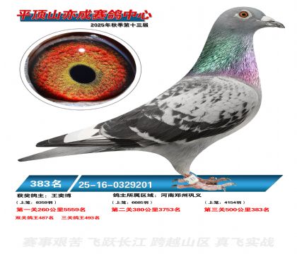 ƽ��ɽ��ɾ���383��