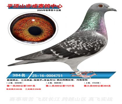 ƽ��ɽ��ɾ���384��