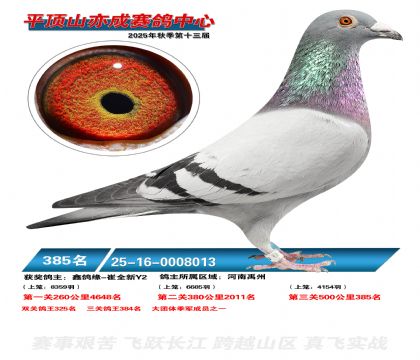 ƽ��ɽ��ɾ���385��