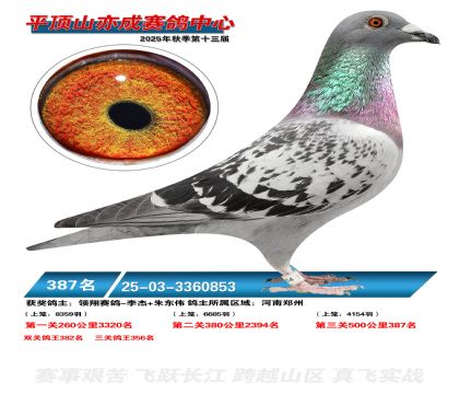 ƽ��ɽ��ɾ���387��