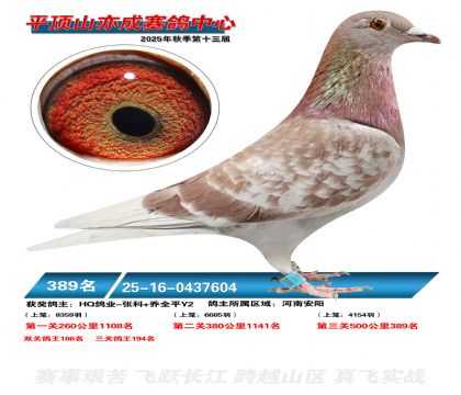 ƽ��ɽ��ɾ���389��