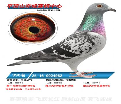 ƽ��ɽ��ɾ���390��