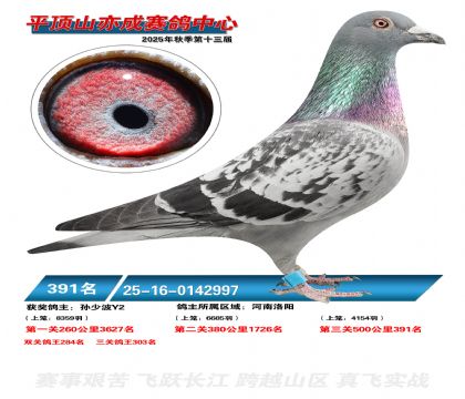 ƽ��ɽ��ɾ���391��