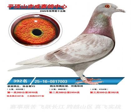 ƽ��ɽ��ɾ���392��